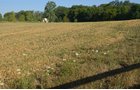 Property photo 43 - 21 Acre Modern Country Estate
